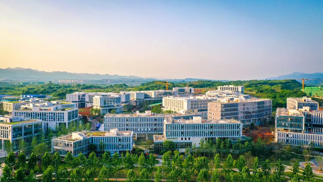 1687656141732400.jpg 640 (7).jpg