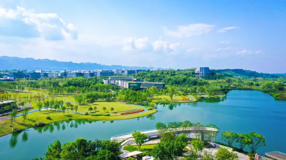 1687656147942317.jpg 640 (8).jpg