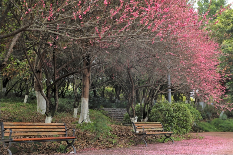 1708324867692896.png 7.png