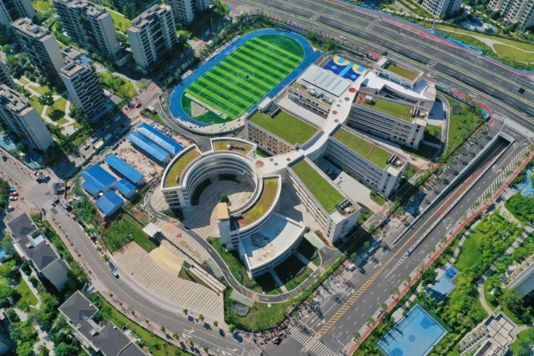 1712735413812034.jpg 3.jpg