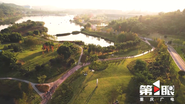 1724901378631483.png 11.png