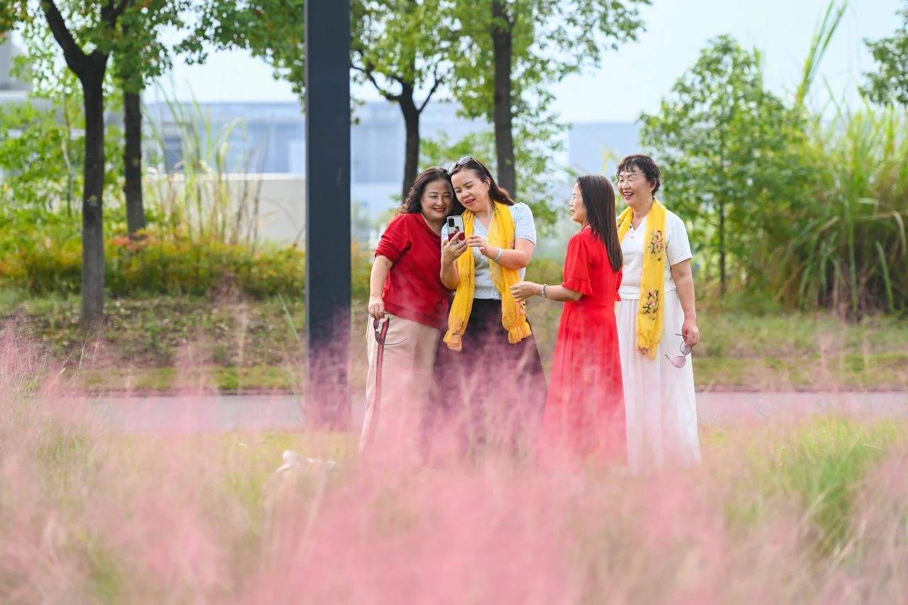 1729044946299487.jpg 微信圖片_20241016101603.jpg