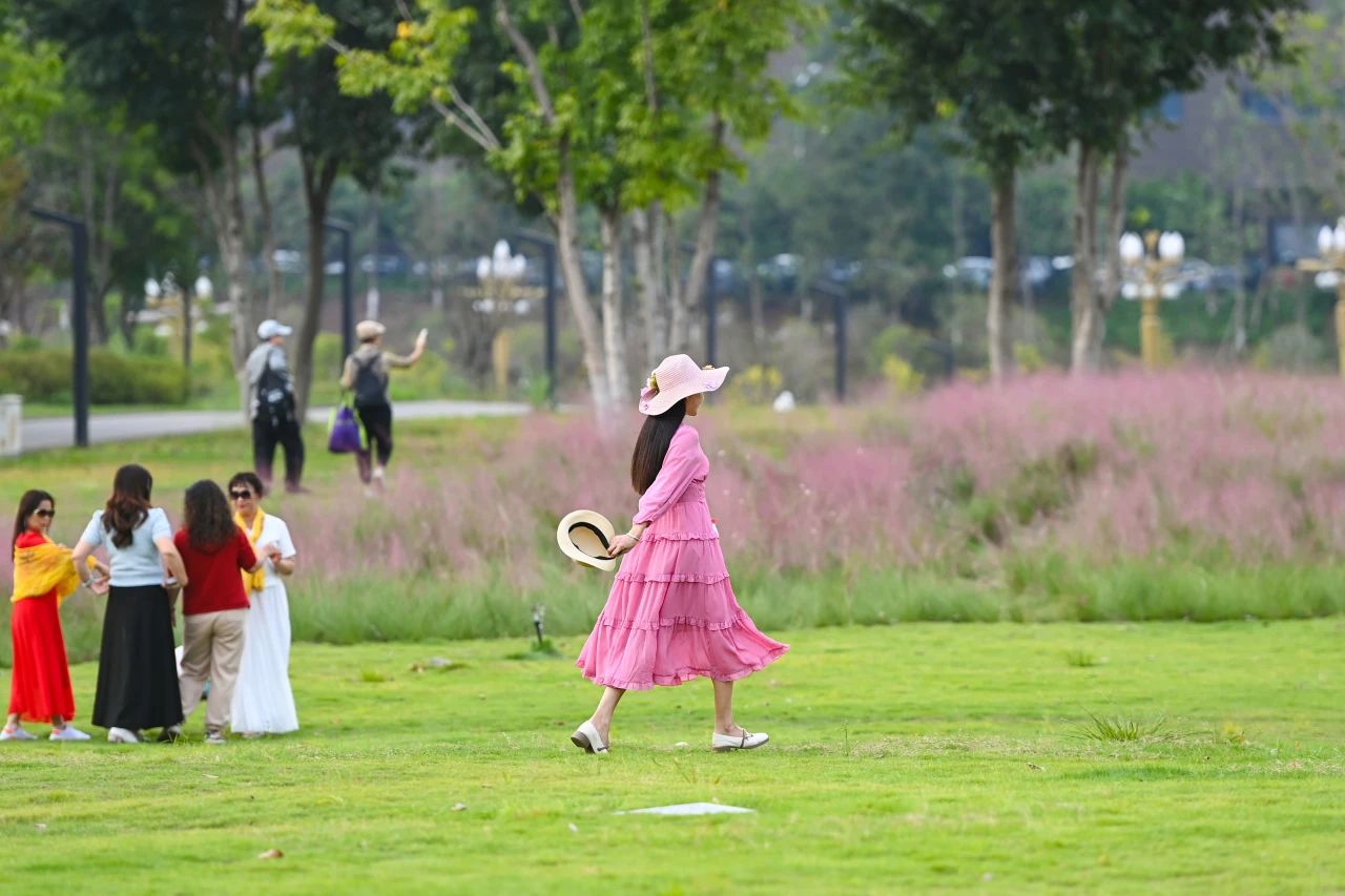 1729044951239741.jpg 微信圖片_20241016101606.jpg