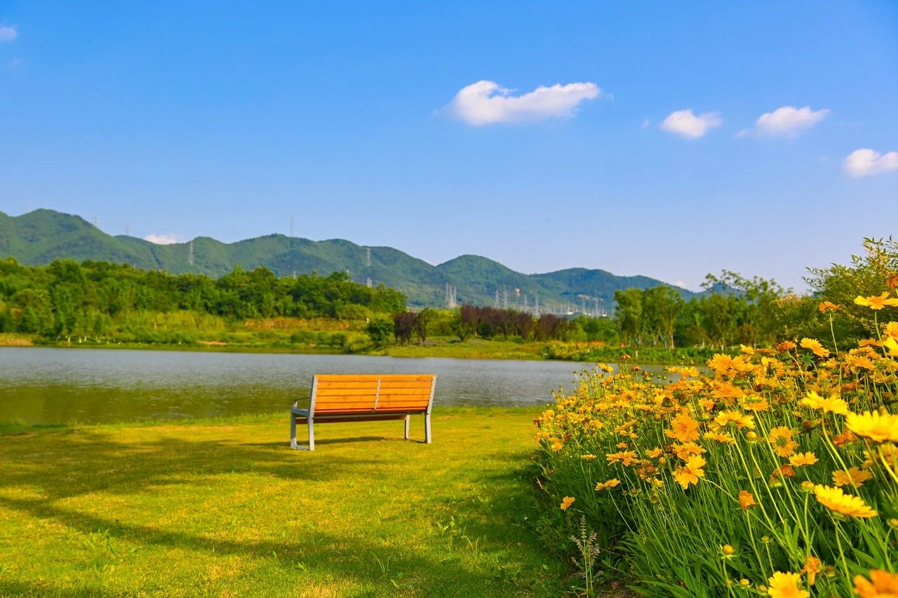 1733989989232212.jpg 14.jpg