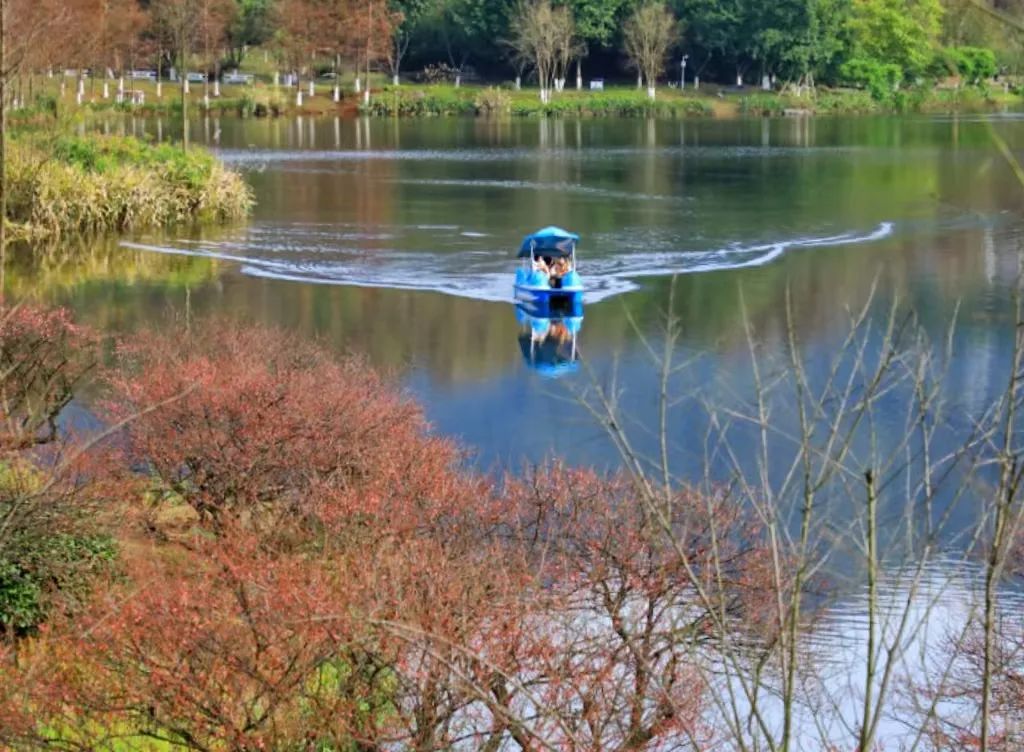 1738997427435970.jpg 微信圖片_20250208145011.jpg