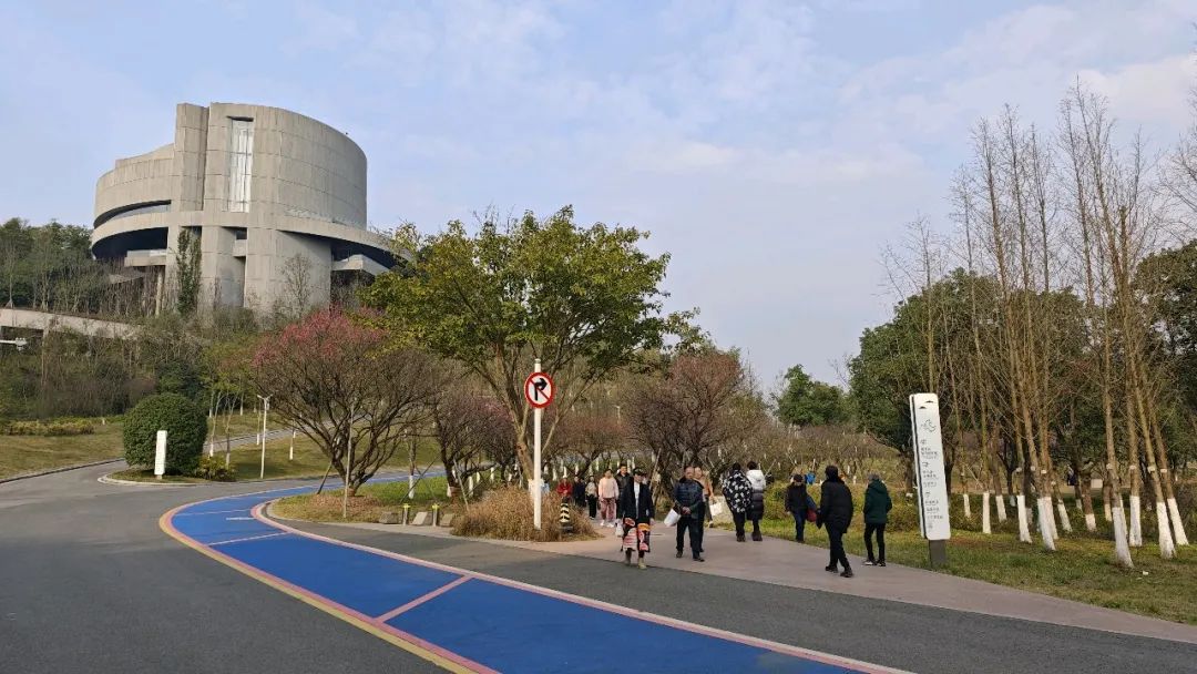 1738997490766462.jpg 67a46b67e4b083c4ab37c077.jpg