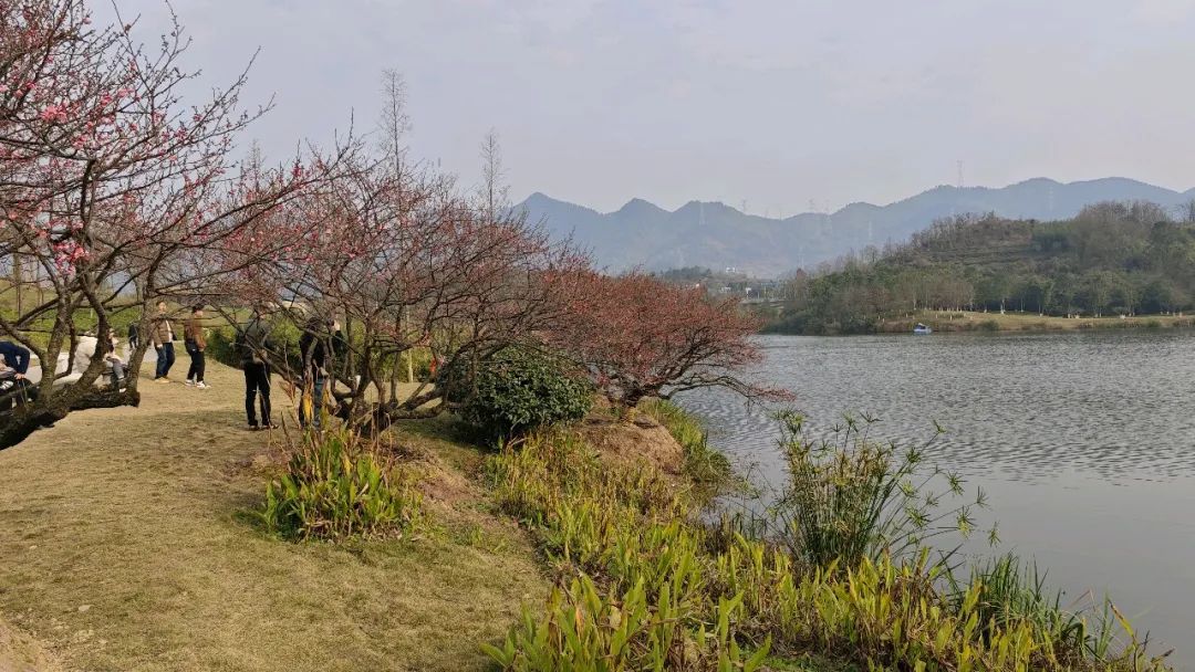 1738997502455480.jpg 67a46b67e4b083c4ab37c079.jpg