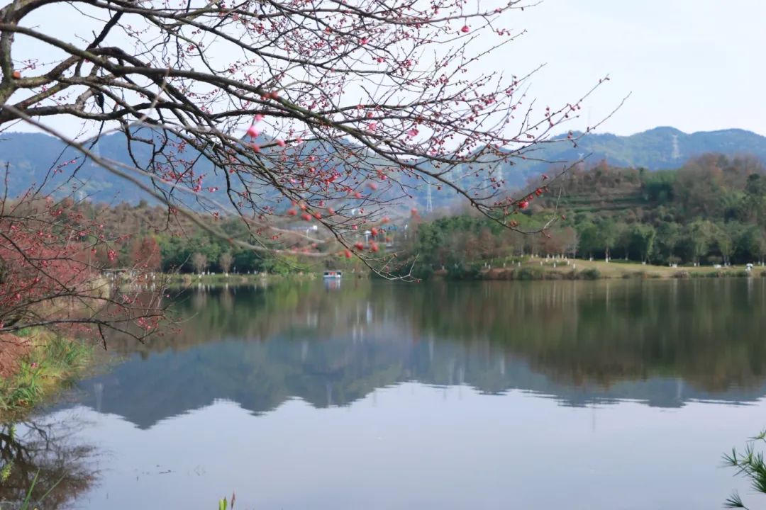 1738997514300808.jpg 67a46b66e4b083c4ab37c075.jpg