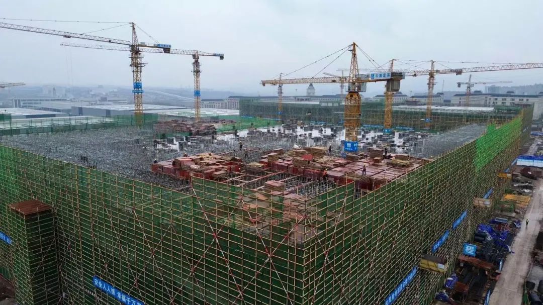 1740705006952483.jpg 640.jpg