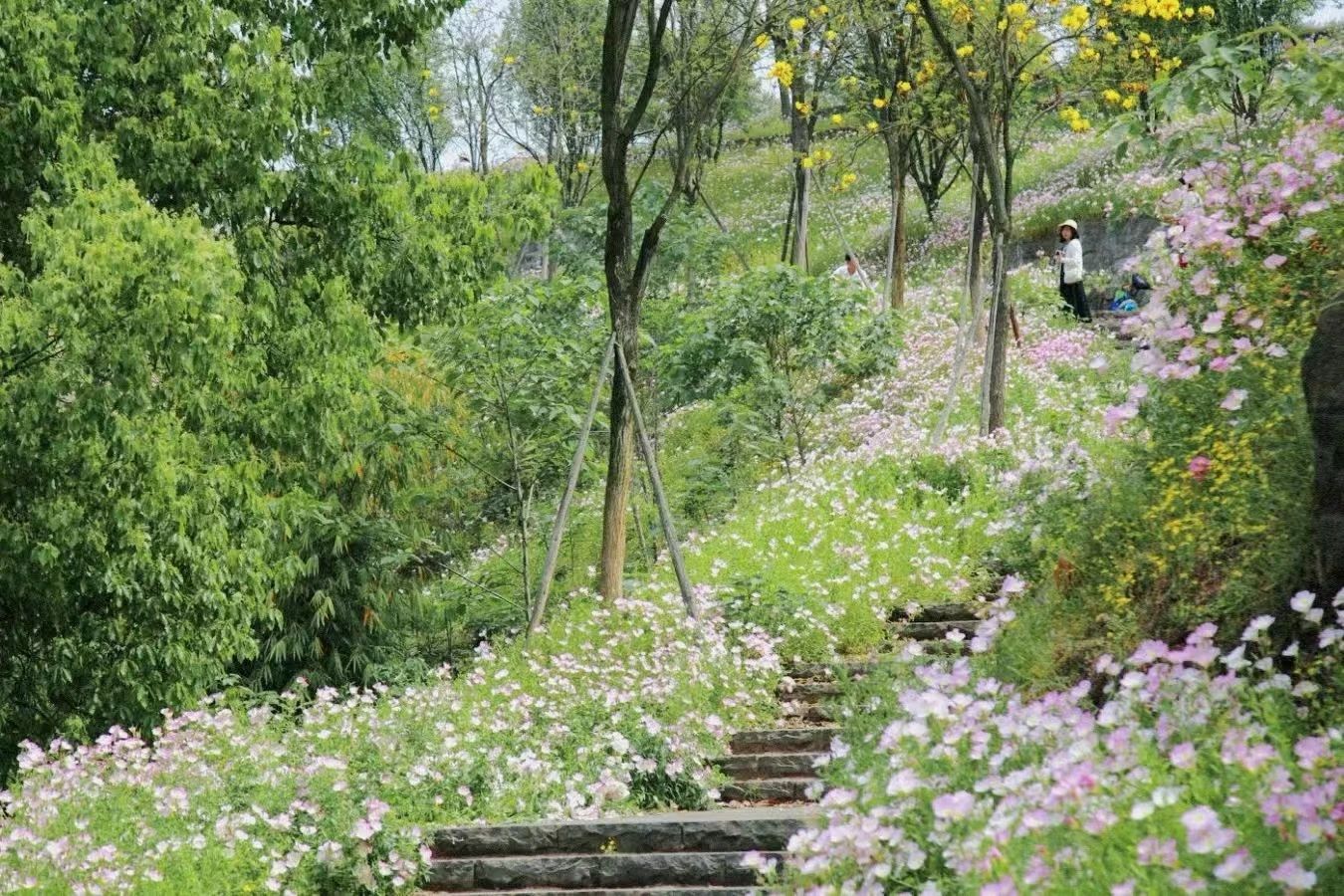 1745202265130779.jpg 微信圖片_2025-04-21_102239_326.jpg