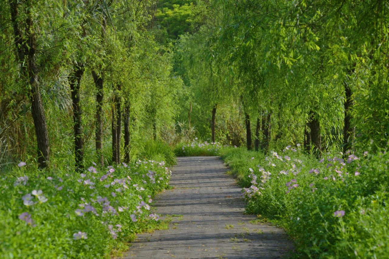 1745202326156854.jpg 微信圖片_2025-04-21_102313_119.jpg