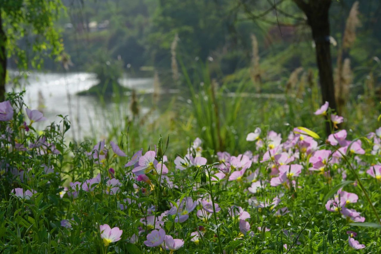 1745202340277393.jpg 微信圖片_2025-04-21_102319_590.jpg