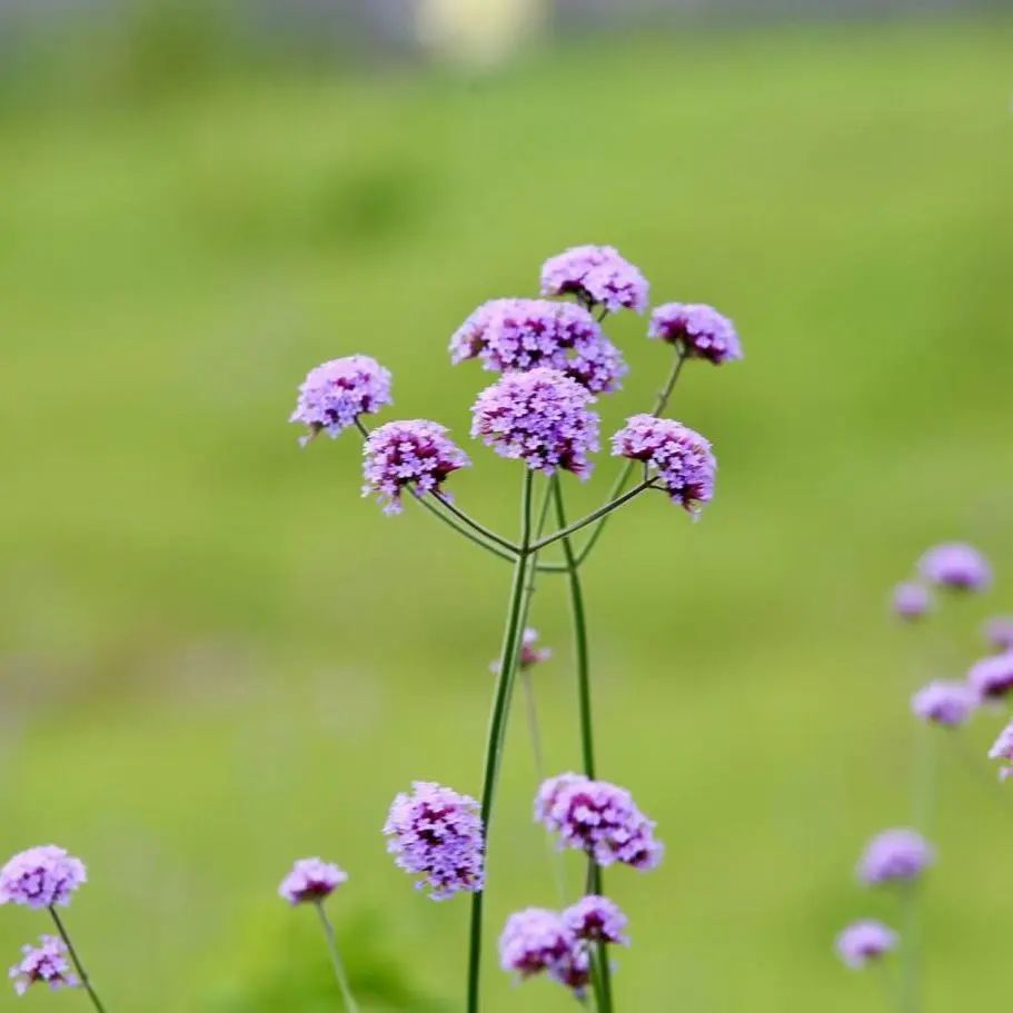 1750044171328395.jpg 微信圖片_20250616112128.jpg