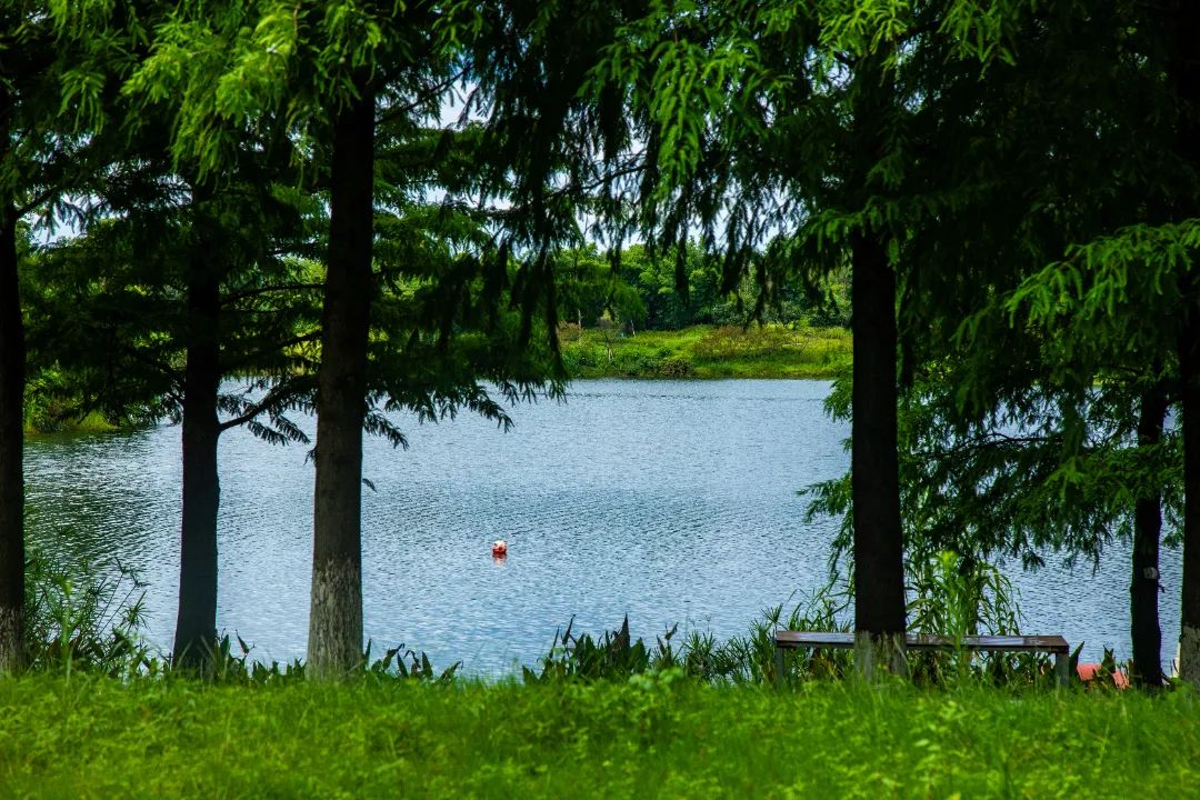 1755480991878647.jpg 微信圖片_20250818093601.jpg